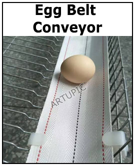 Egg belt conveyor
