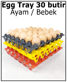 Egg tray 30 butir