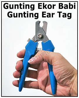 Gunting Ear Tag