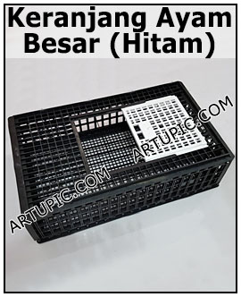 Keranjang ayam hitam