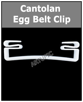 cantolan clip Egg belt conveyor