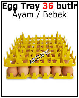 Egg tray ayam plastik 36 butir Artupic