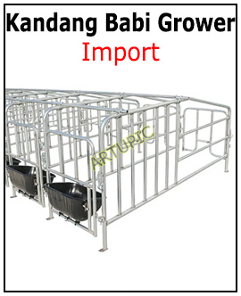 Kandang Babi grower import
