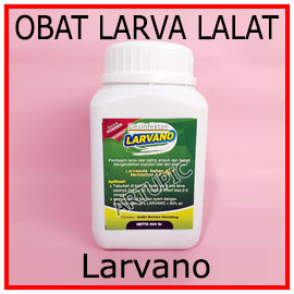 Larvano racun larva lalat