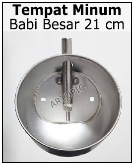 Tempat minum babi besar