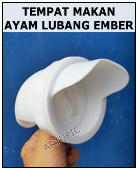 tempat makan ayam lubang ember